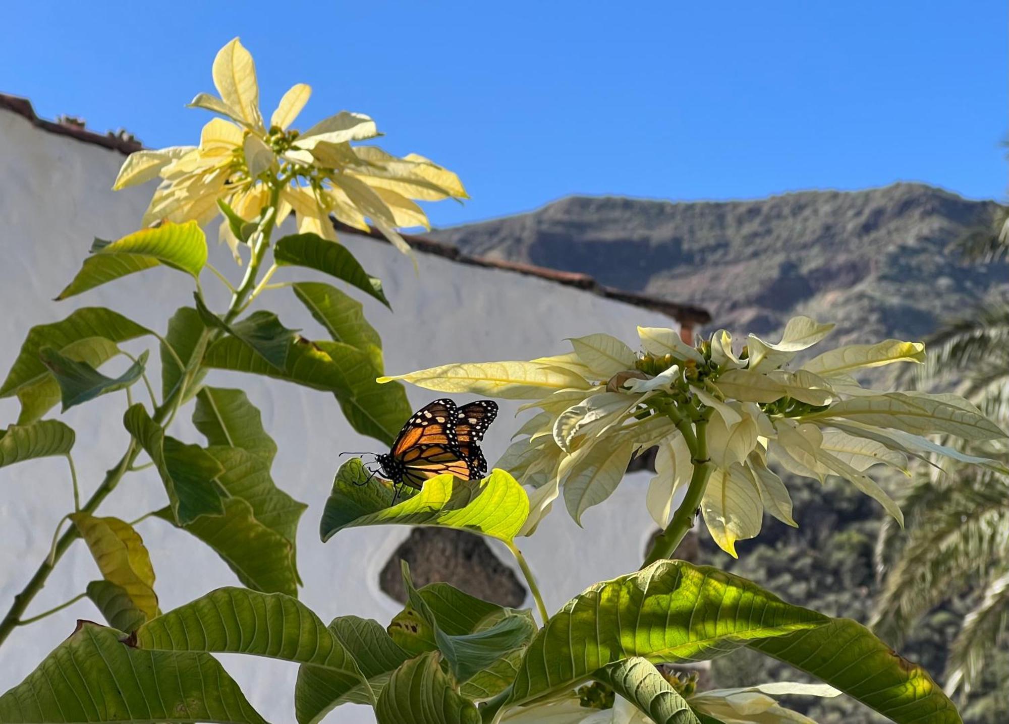 أَغايتي Finca Exclusiv La Mareta المظهر الخارجي الصورة