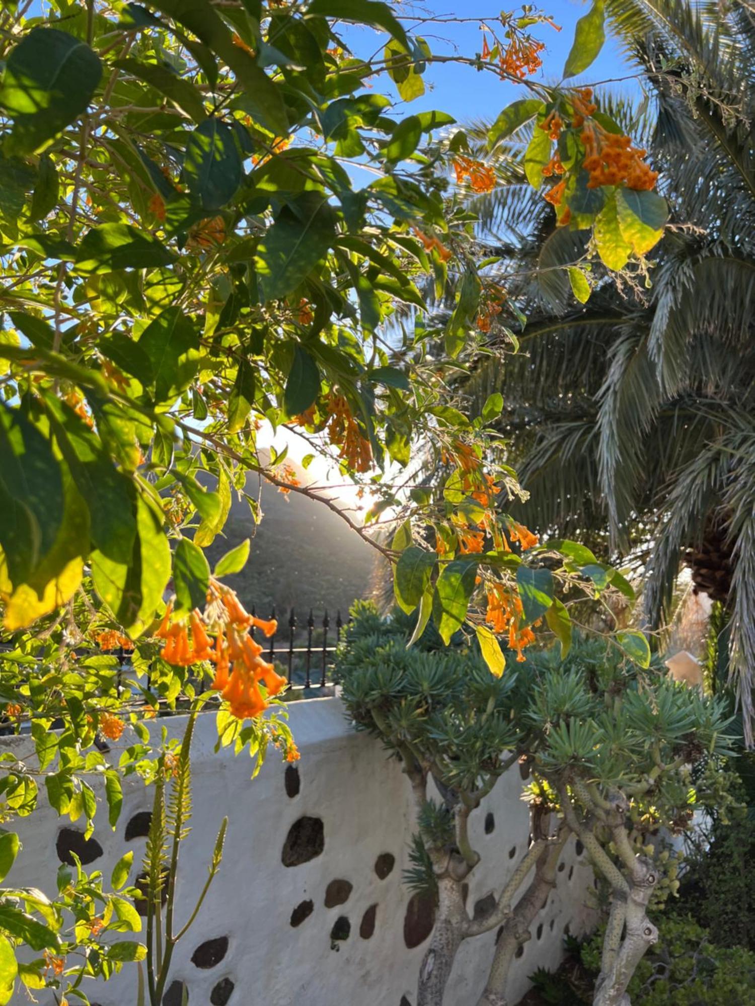 أَغايتي Finca Exclusiv La Mareta المظهر الخارجي الصورة