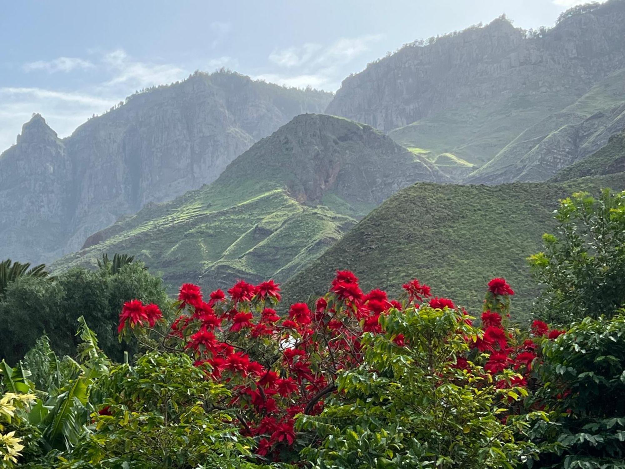 أَغايتي Finca Exclusiv La Mareta المظهر الخارجي الصورة